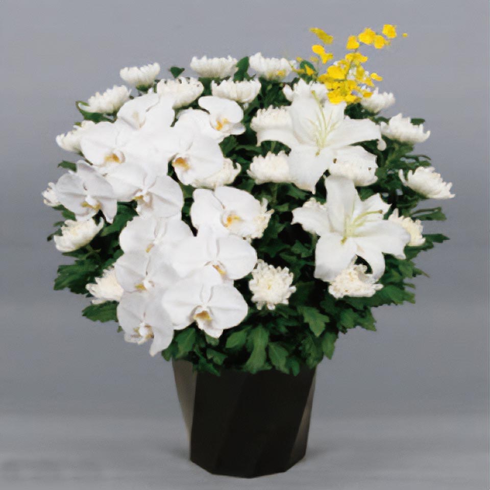 白を基調とした花と緑の葉で作られた追悼の供花